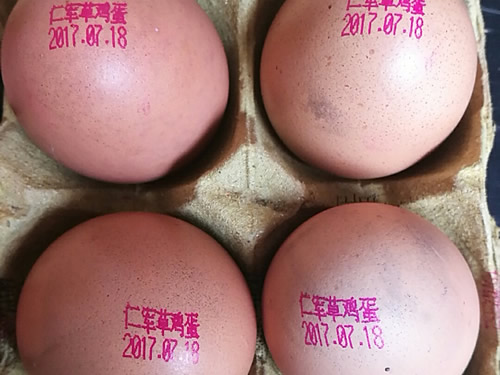 喷码机在食品行业上的应用有哪些呢?